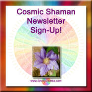 Email Sign-Up | Cosmic Shaman LLC