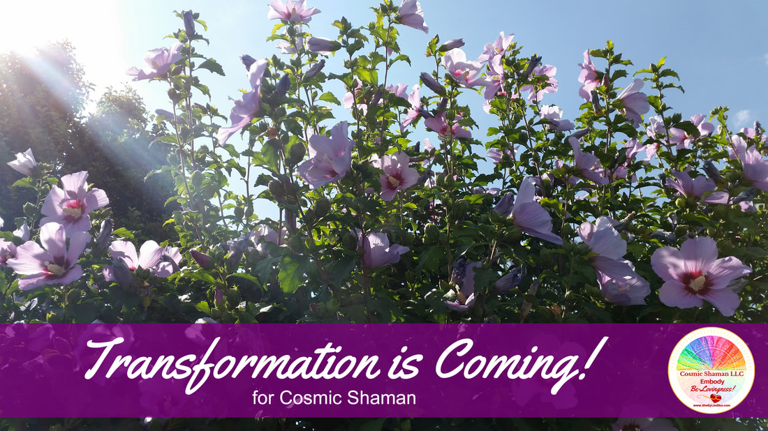 Transformation is Coming to Comic Shaman LLC