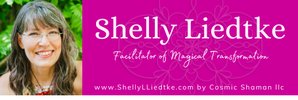 SHELLY L LIEDTKE AT COSMIC SHAMAN LLC